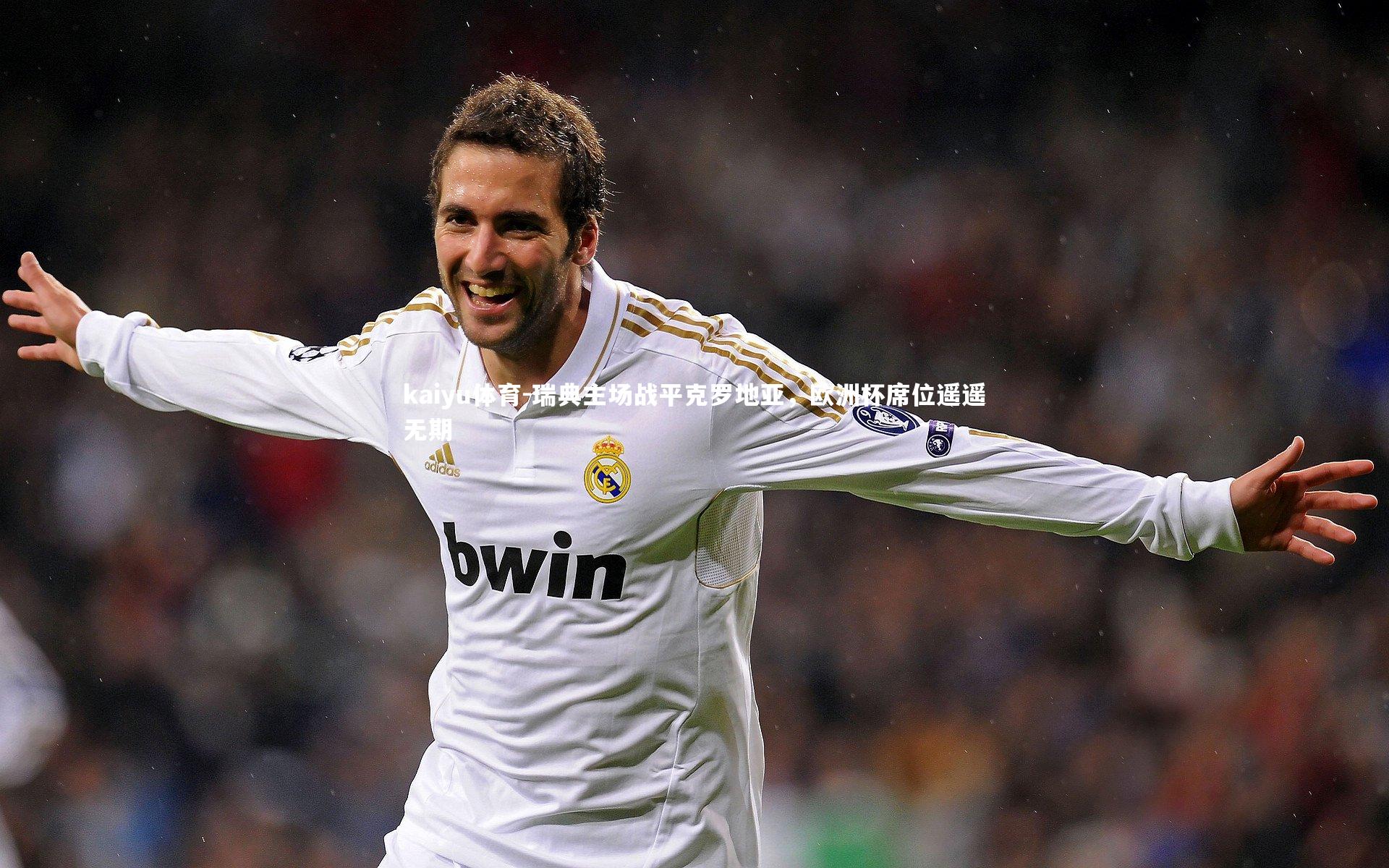 kaiyu体育-瑞典主场战平克罗地亚，欧洲杯席位遥遥无期