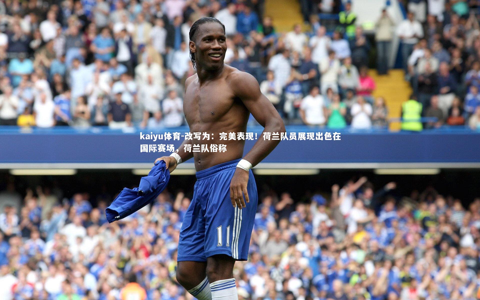 kaiyu体育-改写为：完美表现！荷兰队员展现出色在国际赛场，荷兰队俗称